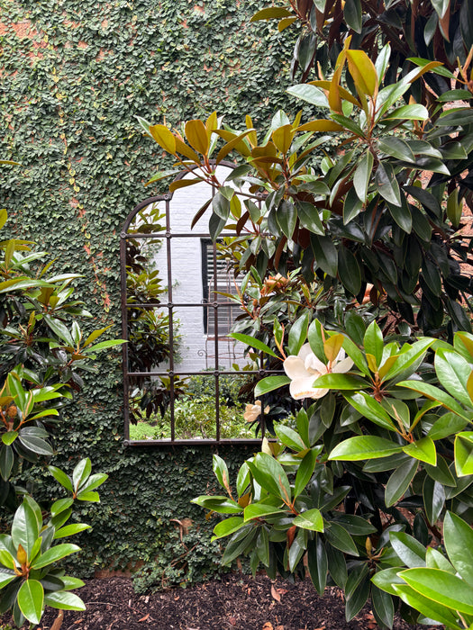 Jardin Arched Indoor/Outdoor Mirror