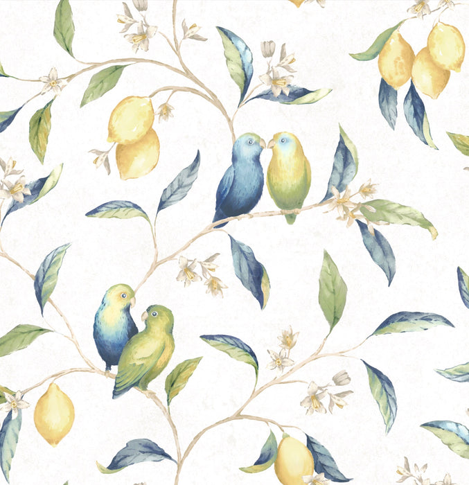 Lovebirds Ivory