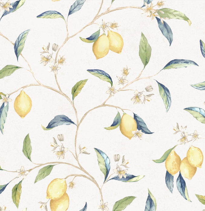 Meyer Ivory