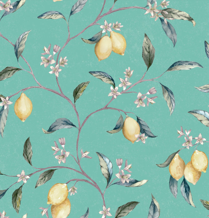 Meyer Turquoise