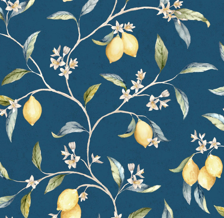 Meyer Indigo