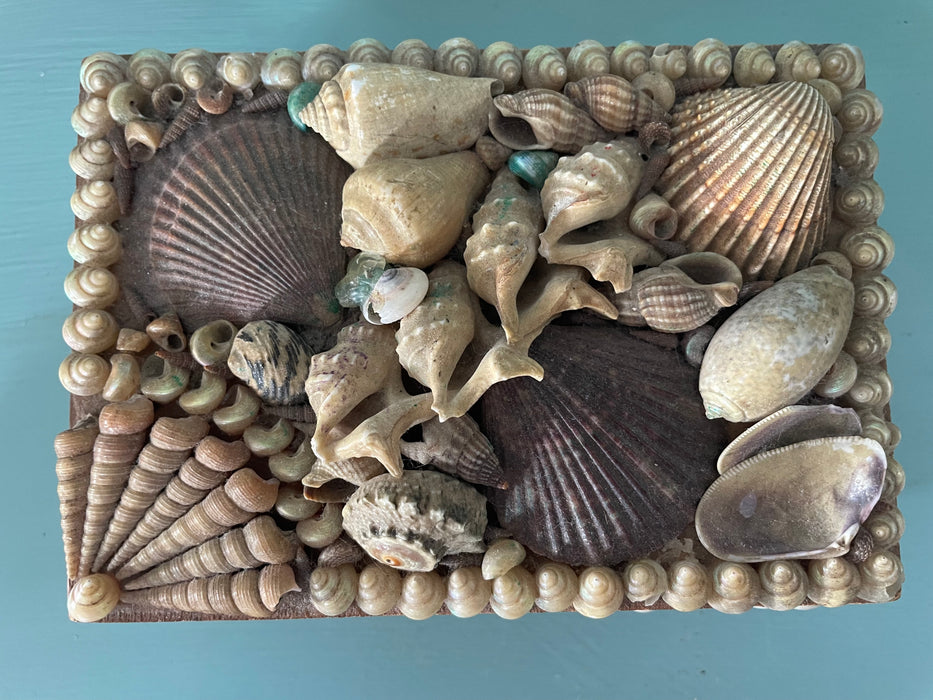 Medium Brown Vintage Shell Box