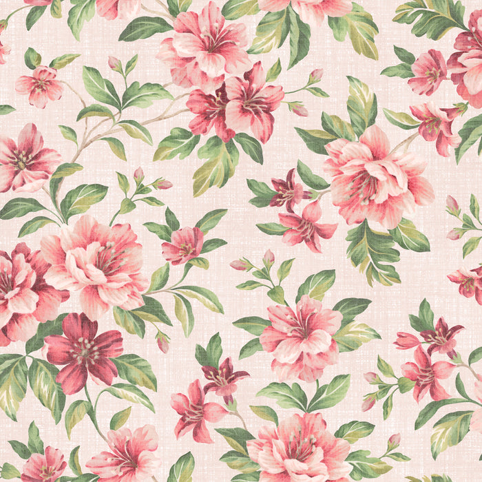Coromandel Hibiscus Wallpaper