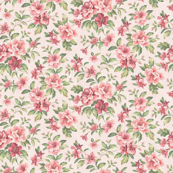Coromandel Hibiscus Wallpaper