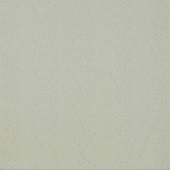 Chinkara Almond/Celadon