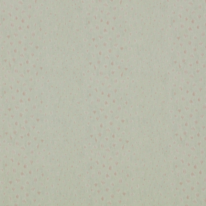 Chinkara Almond/Celadon